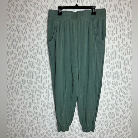 AnyBody Pants - Anybody Soft Comfy Sage Green Pocket Jogger Sweatpants Ankle Pants Size Small